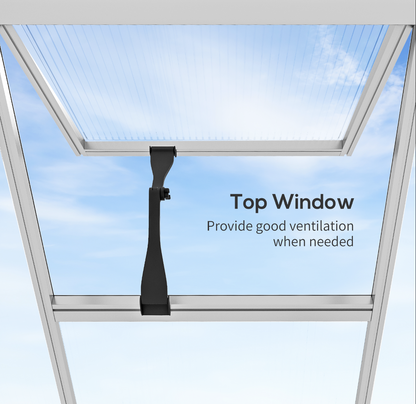 Top window with a black handle against a blue sky background