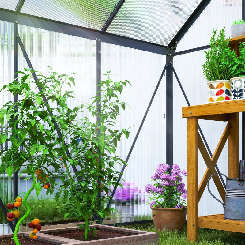 Greenhouse with plants and a wooden table