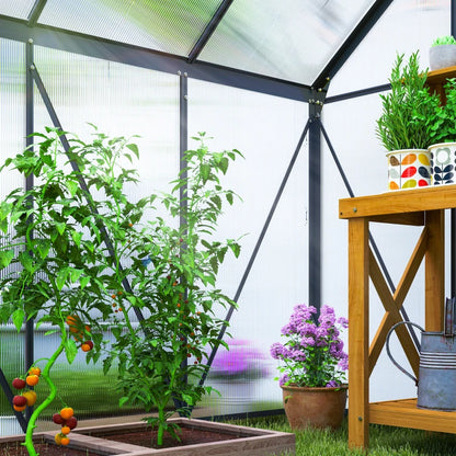 Greenhouse with plants and a wooden table