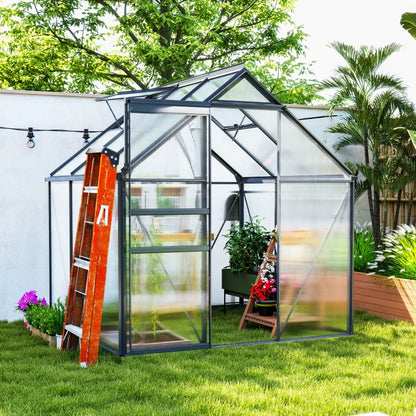Clear greenhouse with a wooden ladder in a garden setting