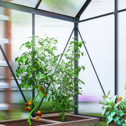 Greenhouse with tomato plants and a clear view of the outdoors