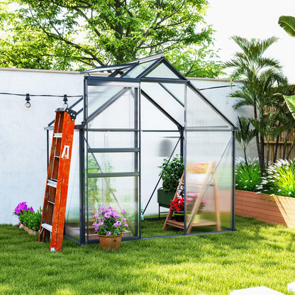 Small greenhouse in a garden with plants and a ladder