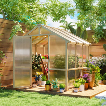 Greenhouse with plants and garden setup in a backyard