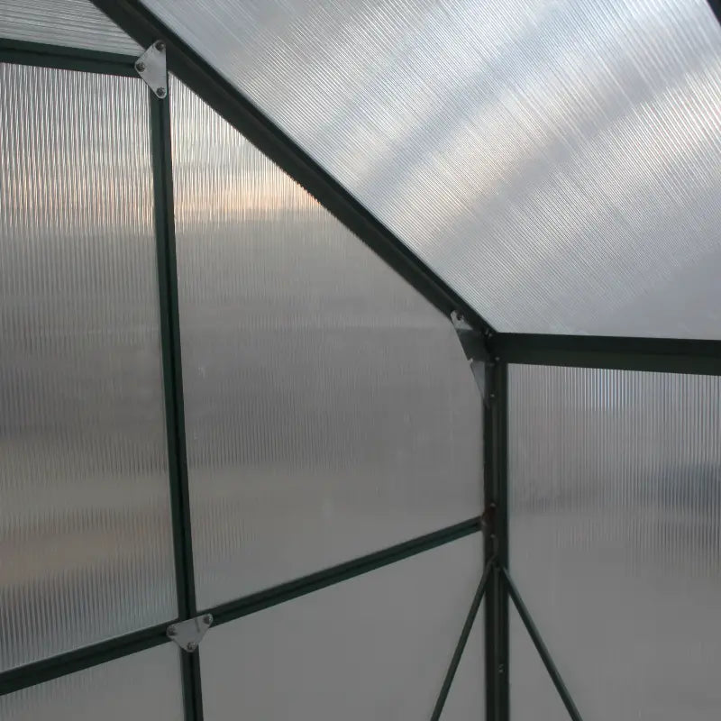 Greenhouse structure with transparent polycarbonate panels and metal frame.